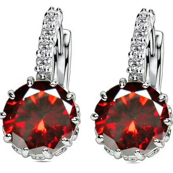 Lymphatic Germanium Magnetology Drainage Silver Electro-Plated Hoop Earrings - Picture 2 of 2